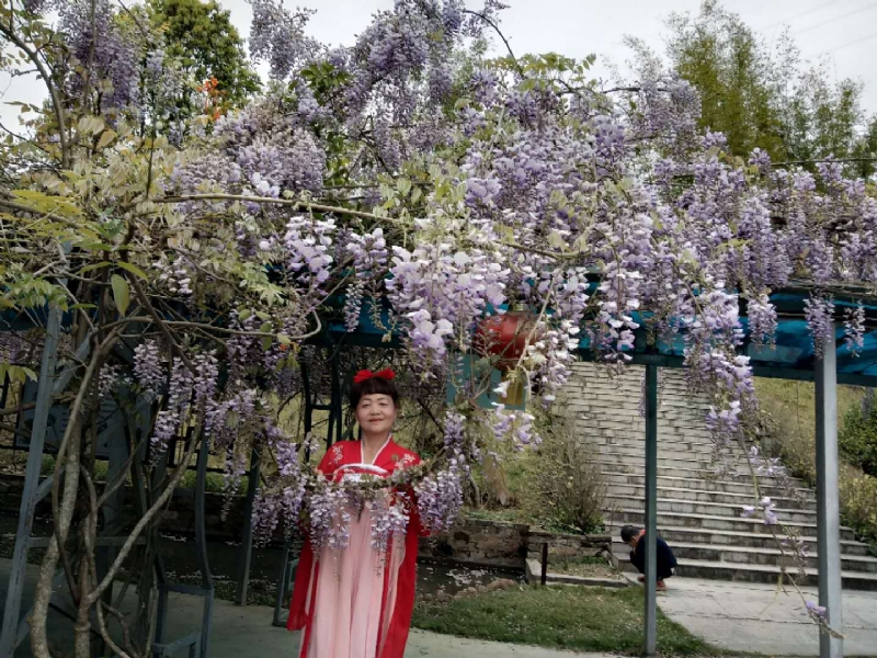 莉莉的第一张照片--三明婚介网